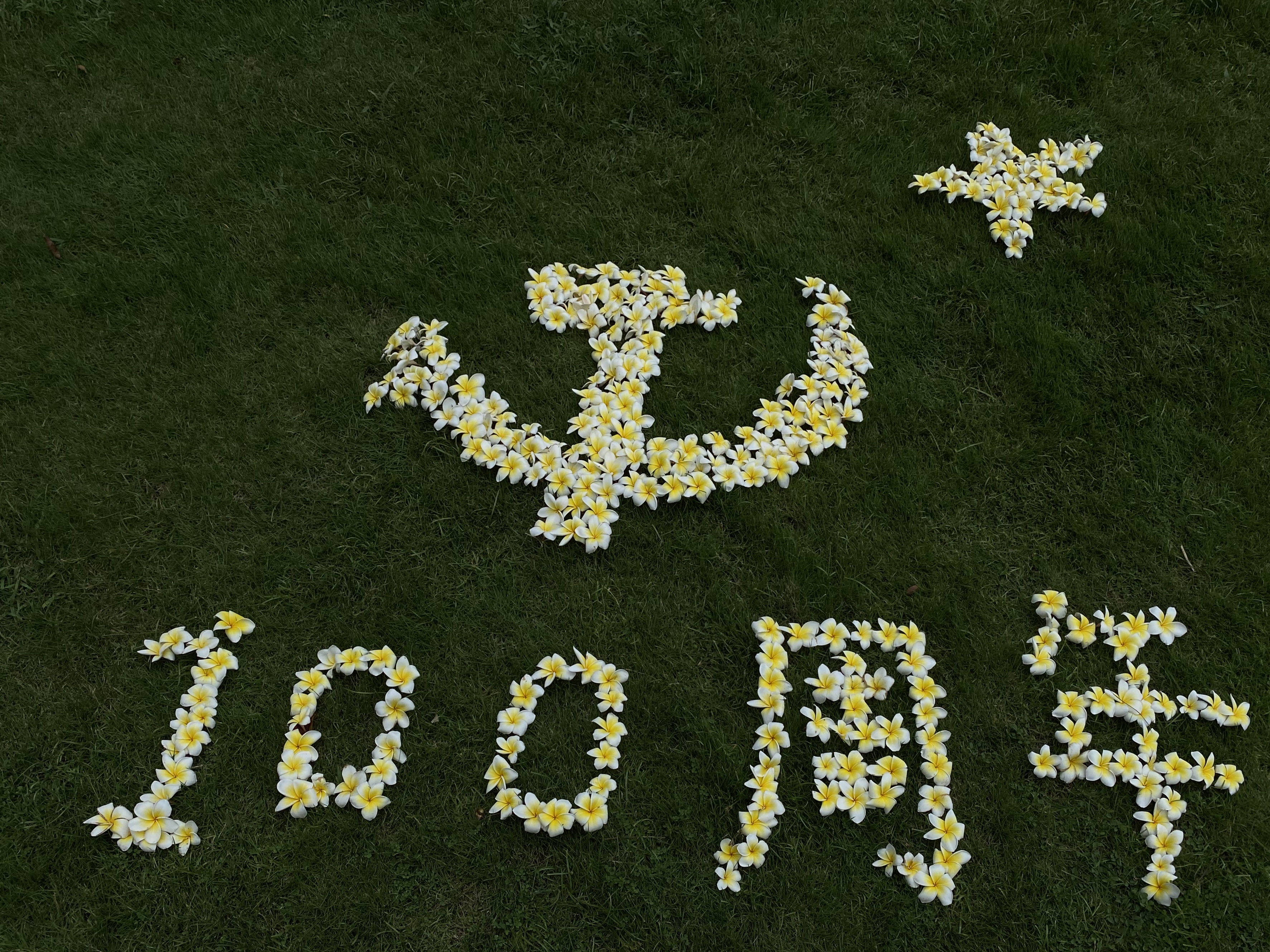 038心中的希望花 陆安蝶.jpg