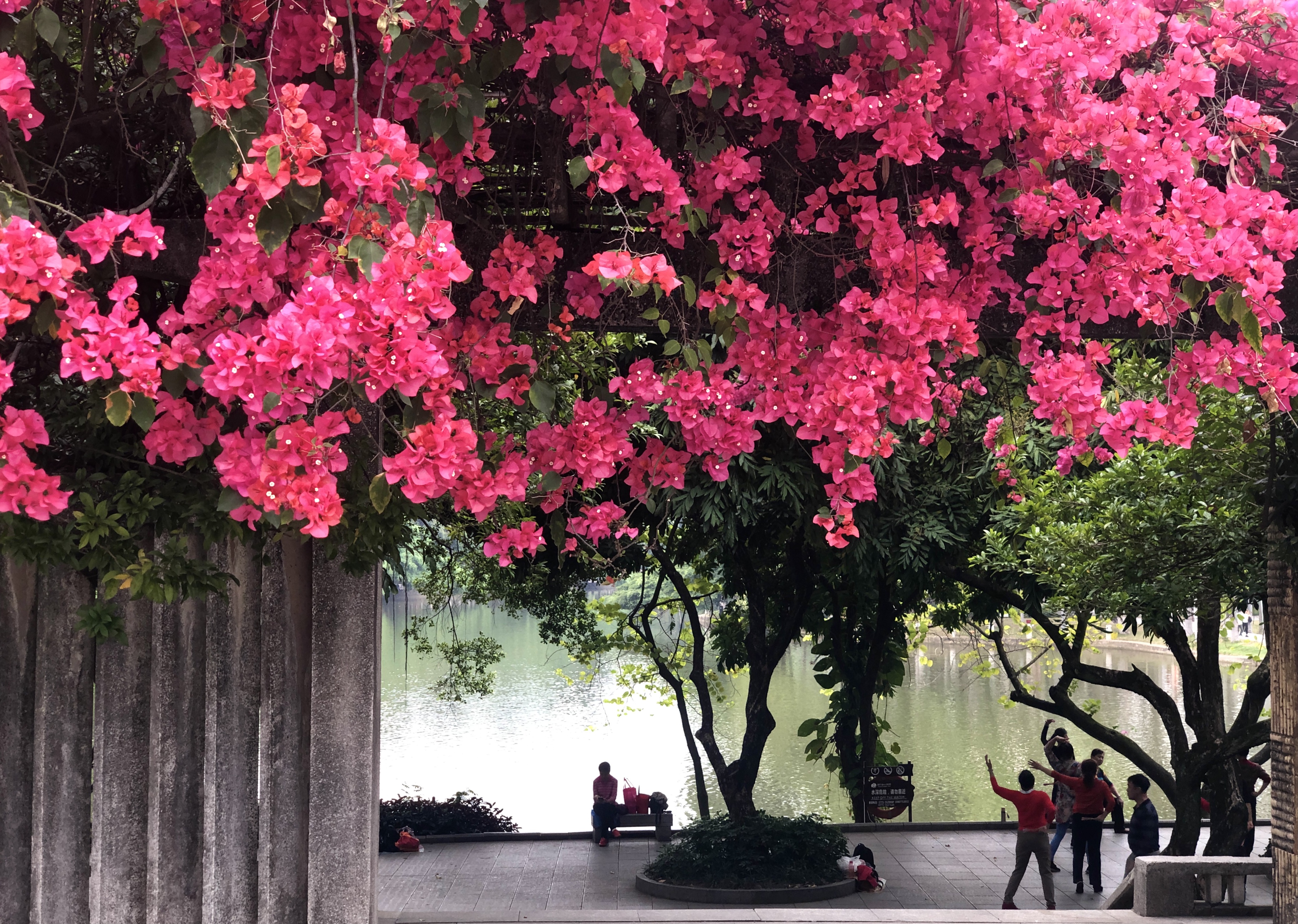 024红红火火 伍进军.JPG