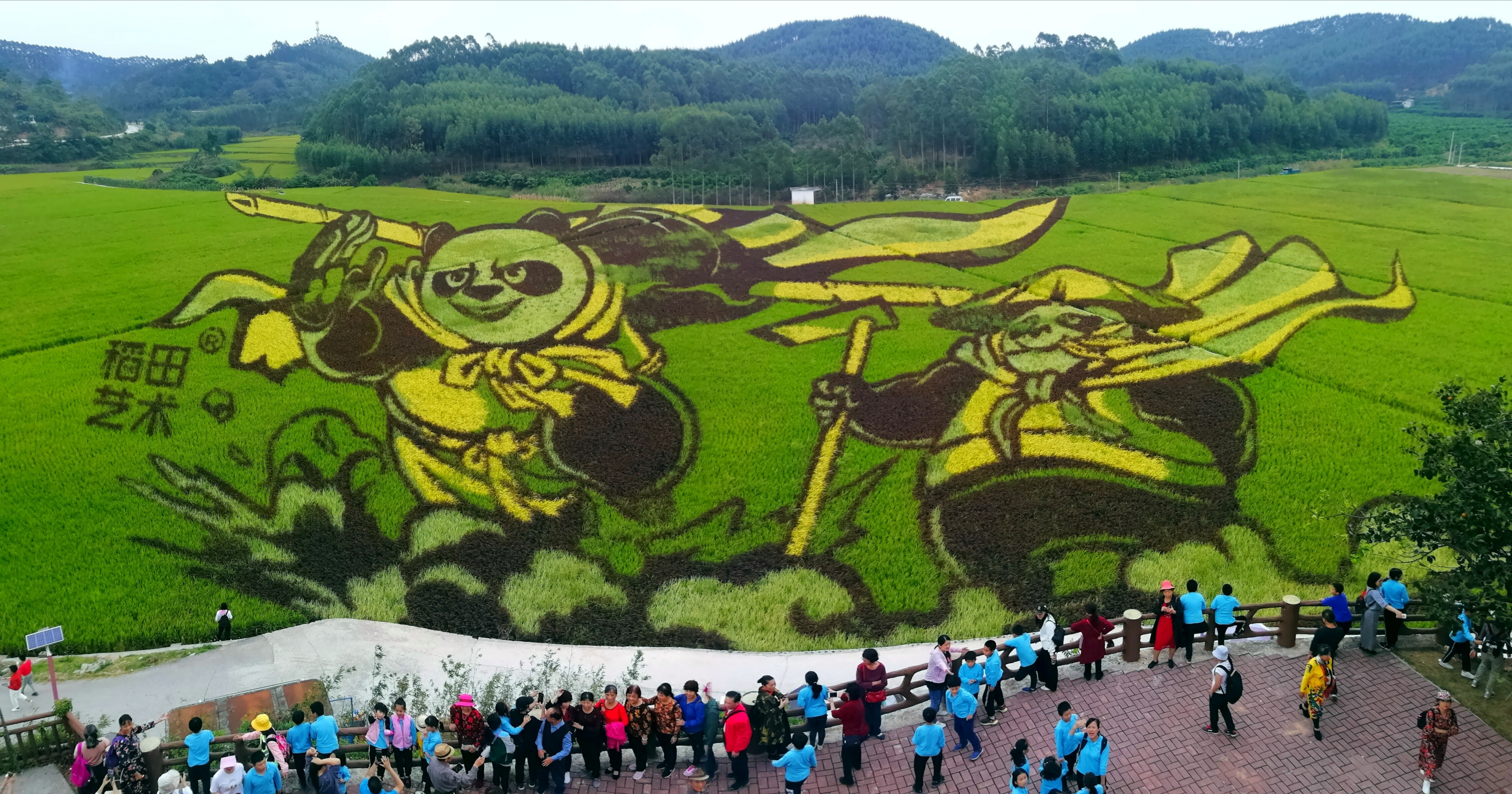 018稻田艺术助增收 何正君.jpg