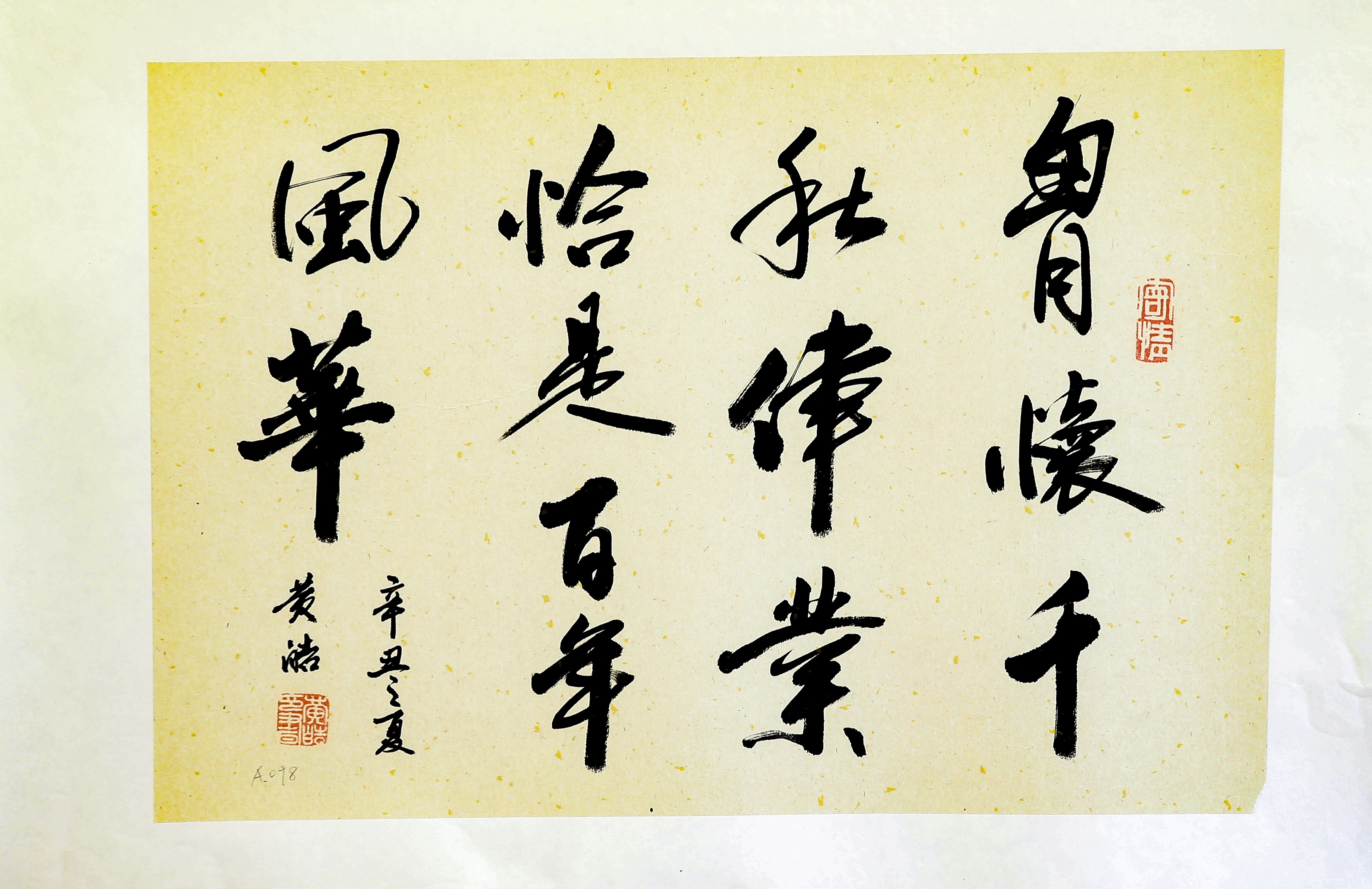 050习近平总书记金句 黄皓.JPG