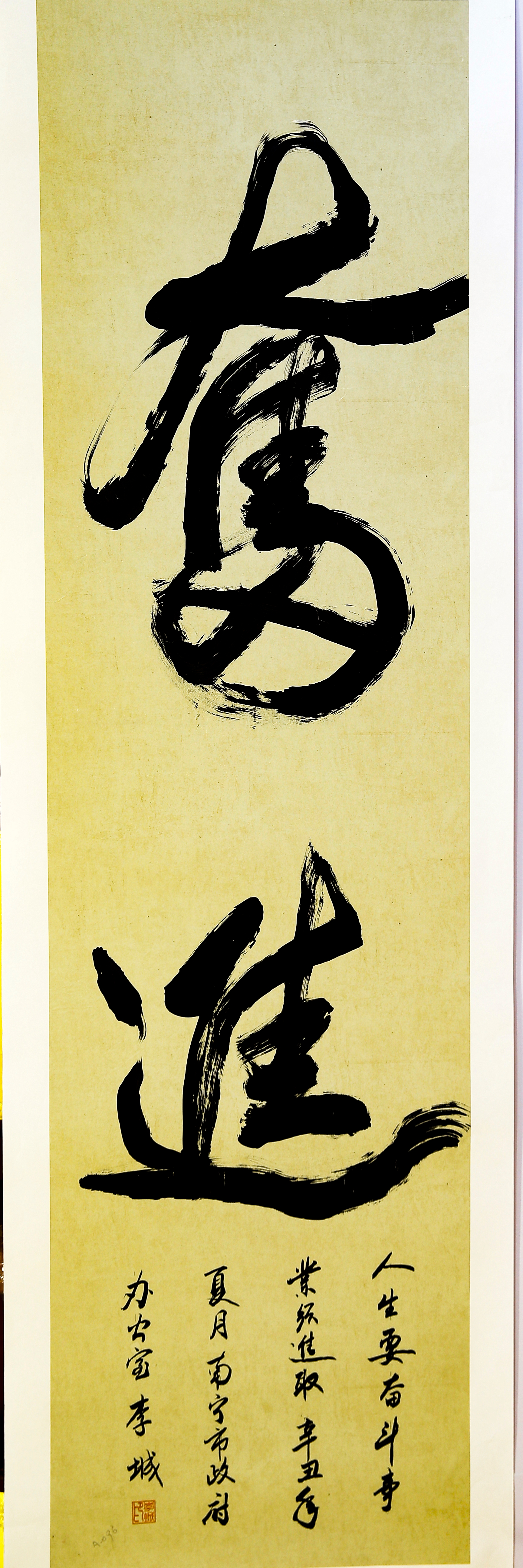 020奋进 李城.JPG