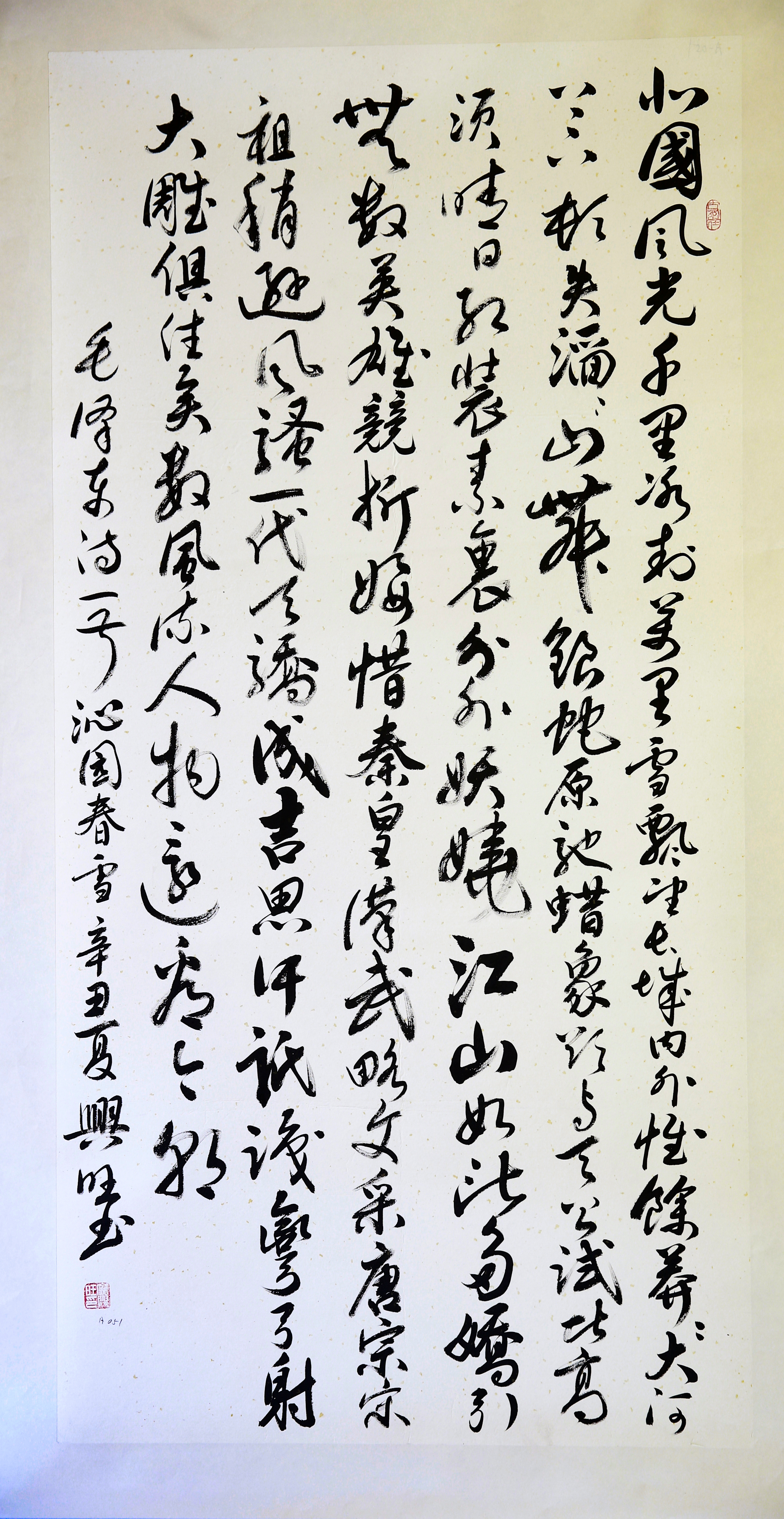 014草笔法书 《沁园春·雪》 庞兴旺.JPG