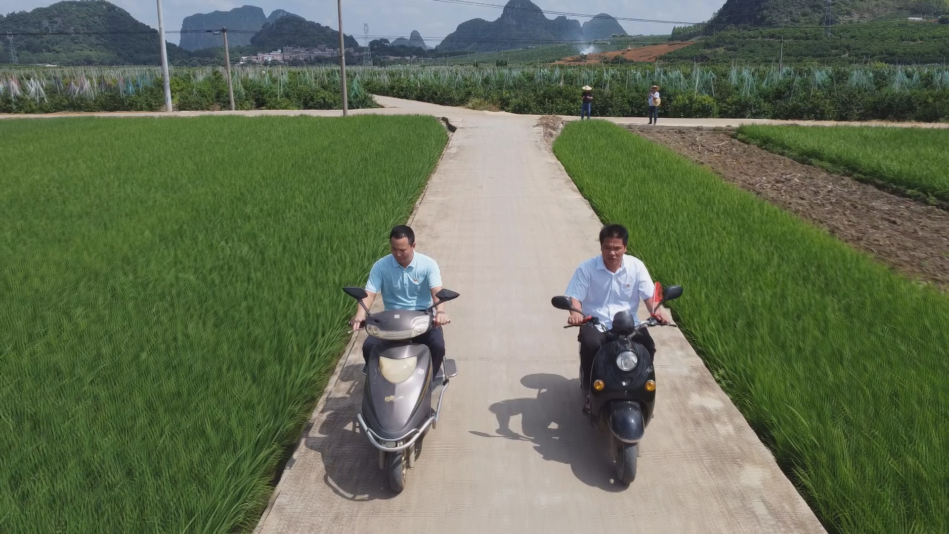 微信图片_20211115112630.jpg 微信图片_20211115112630.jpg