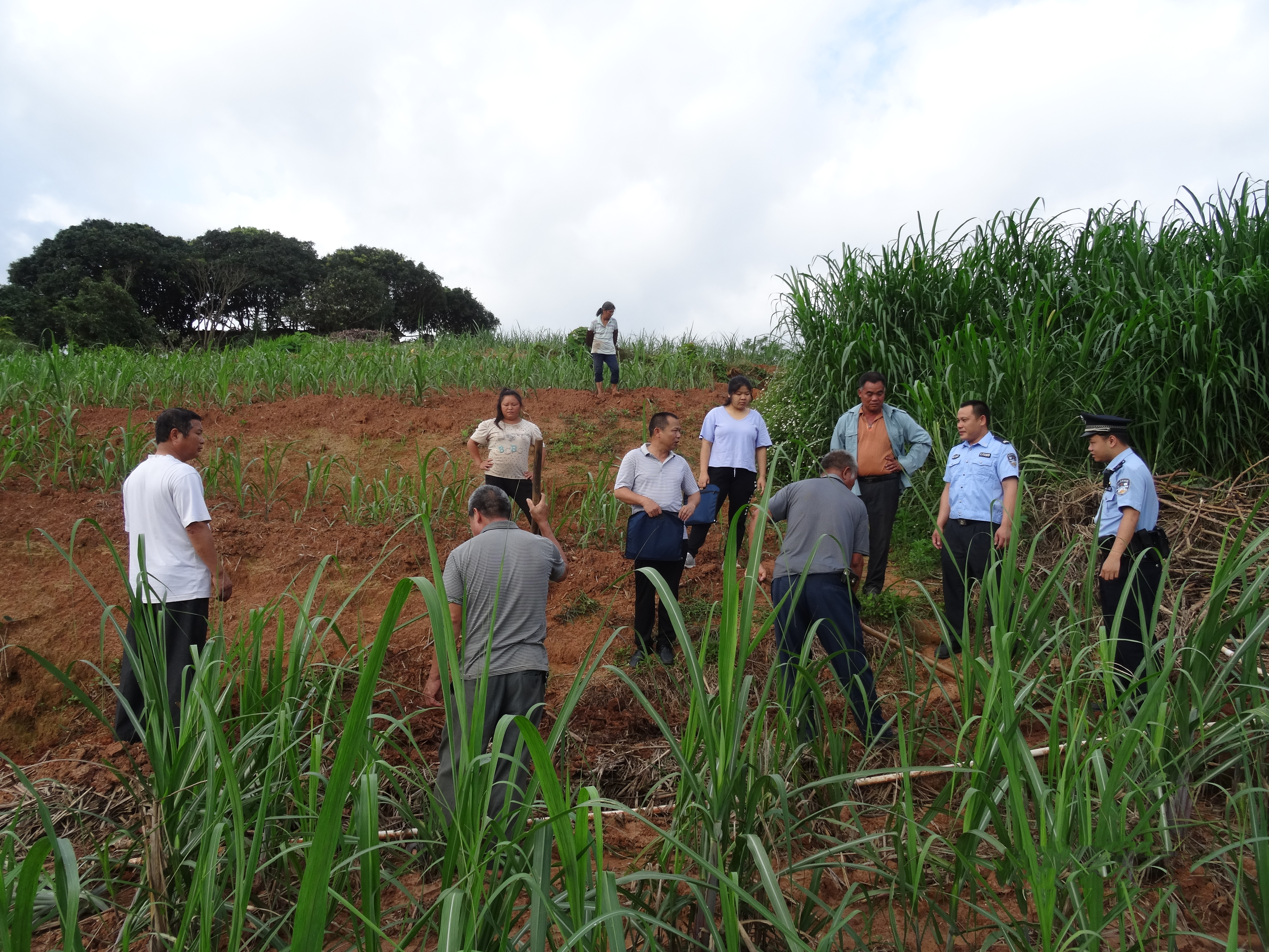 孙登欧调解邕宁区中和镇周禄村周流坡玉济都与玉济郡土地纠纷.jpg 孙登欧调解邕宁区中和镇周禄村周流坡玉济都与玉济郡土地纠纷.jpg
