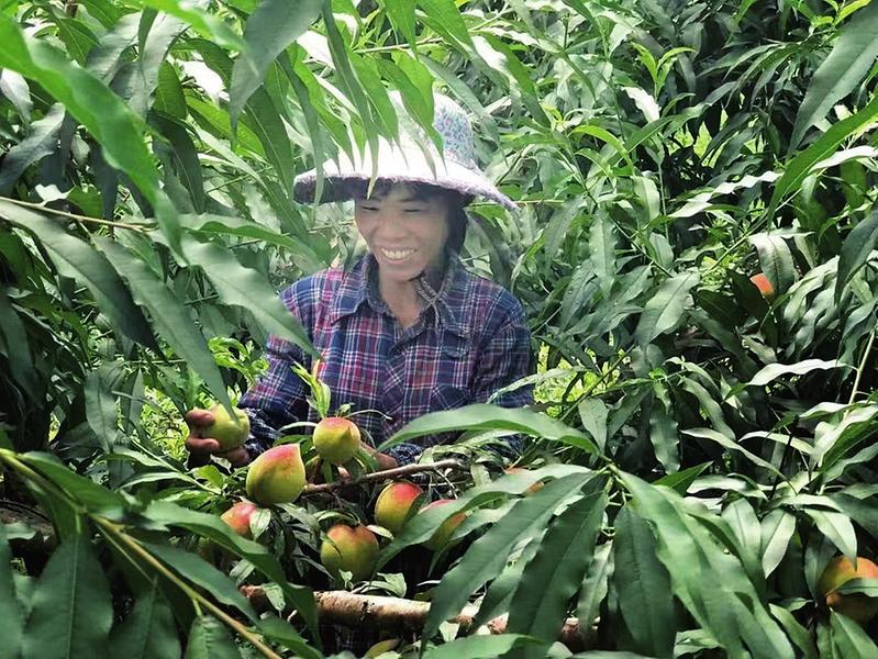 d72d187df41e10ea7d9fcdc7f5909205_img_179_397_376_282.jpg d72d187df41e10ea7d9fcdc7f5909205_img_179_397_376_282.jpg